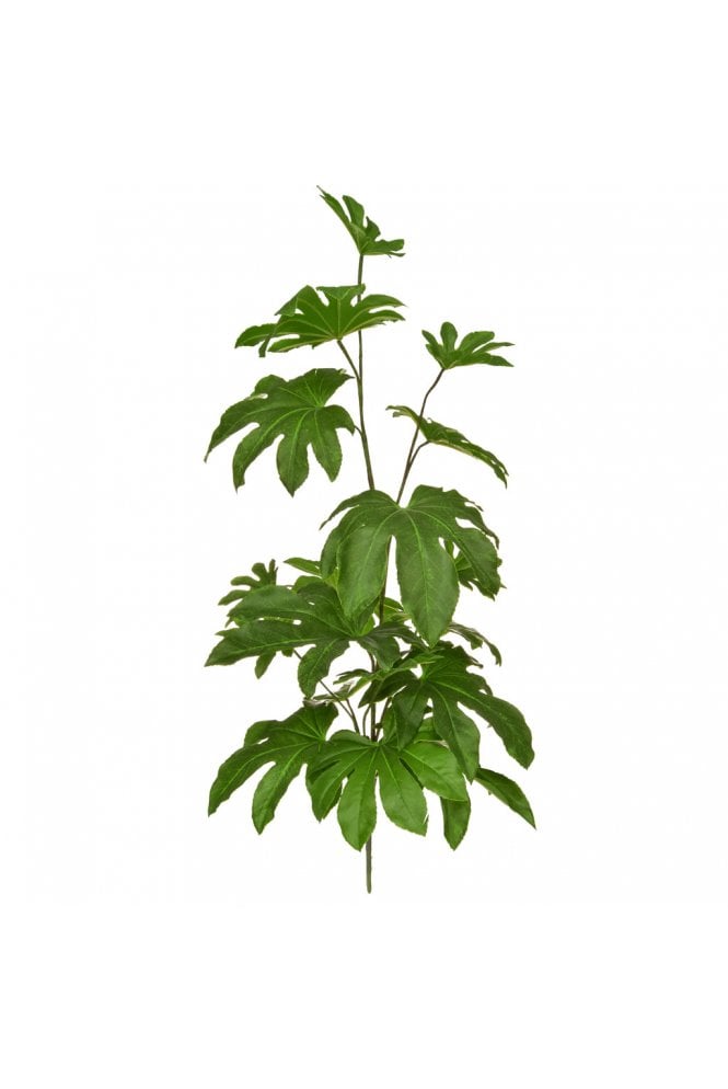 Artificial Fatsia Stem 83cm