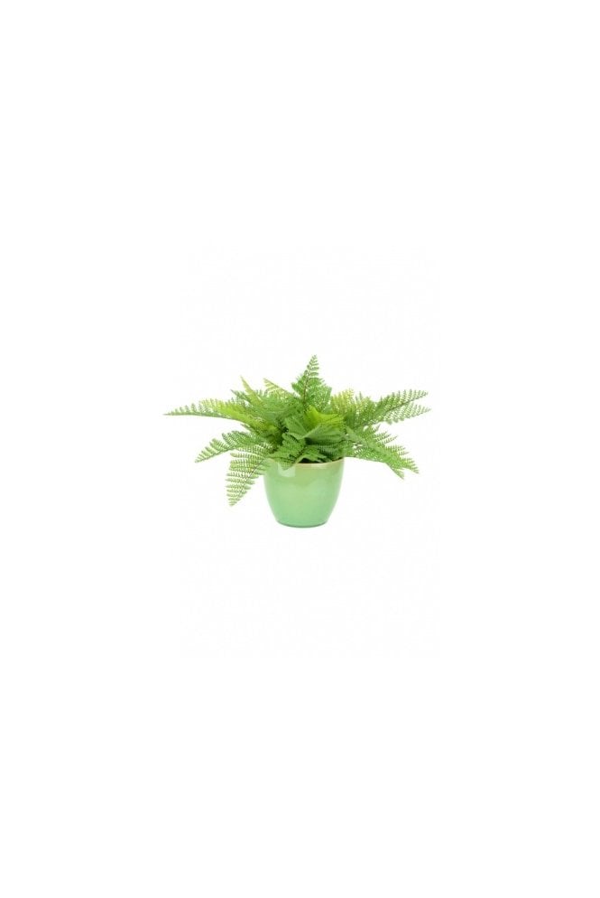 Artificial Fern Arrangement in Green Planter