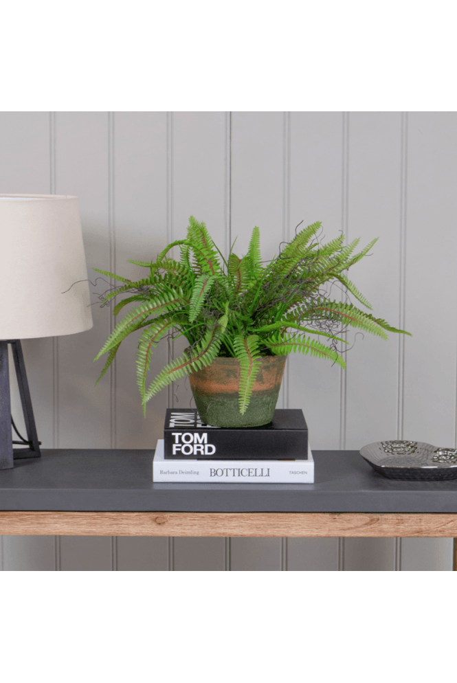 Potted Artificial Fern in Aged Base