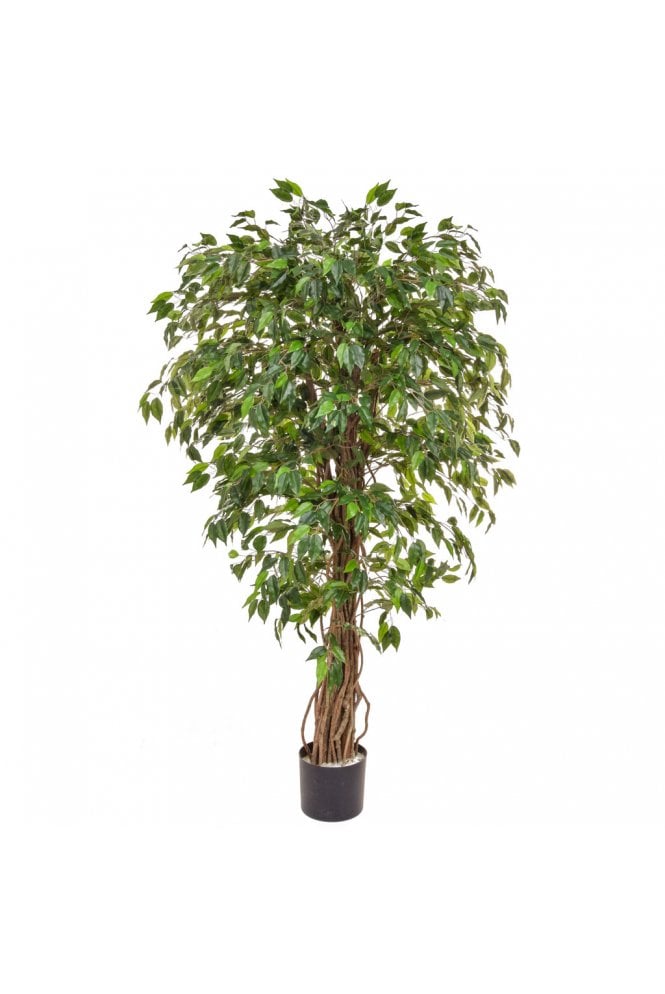 Artificial Ficus Liana Green and Variegated