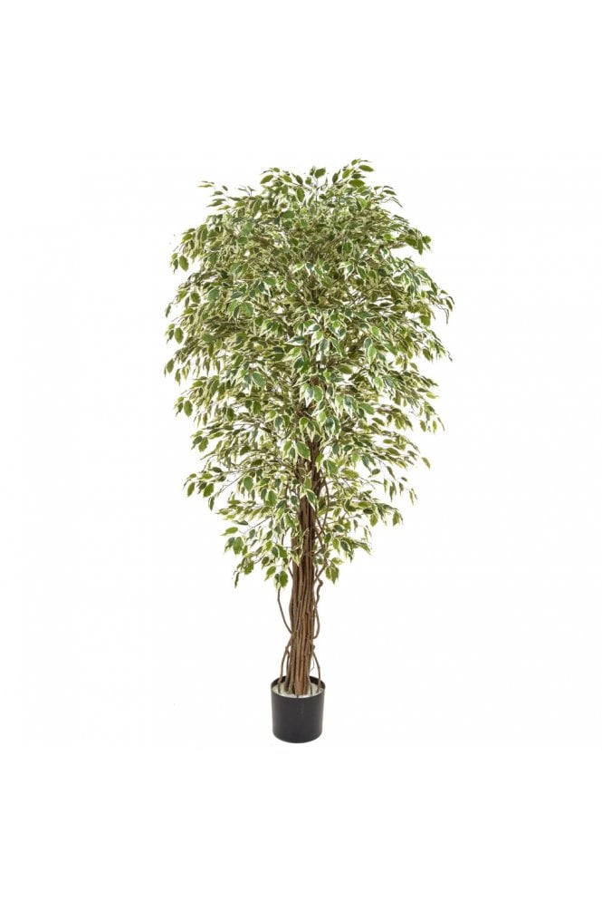 Artificial Ficus Liana Variegated 180cm