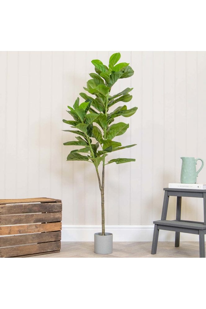 Potted Artificial Ficus Lyrata 150cm