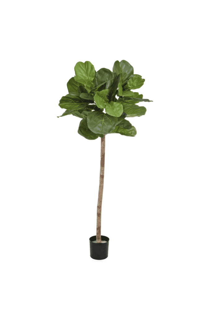 Artificial Fiddle Tree 170cm