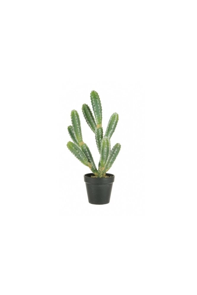 Artificial Finger Cactus Potted