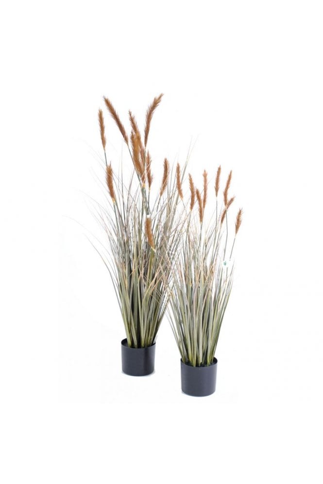 Artificial Foxtail Grass Dark