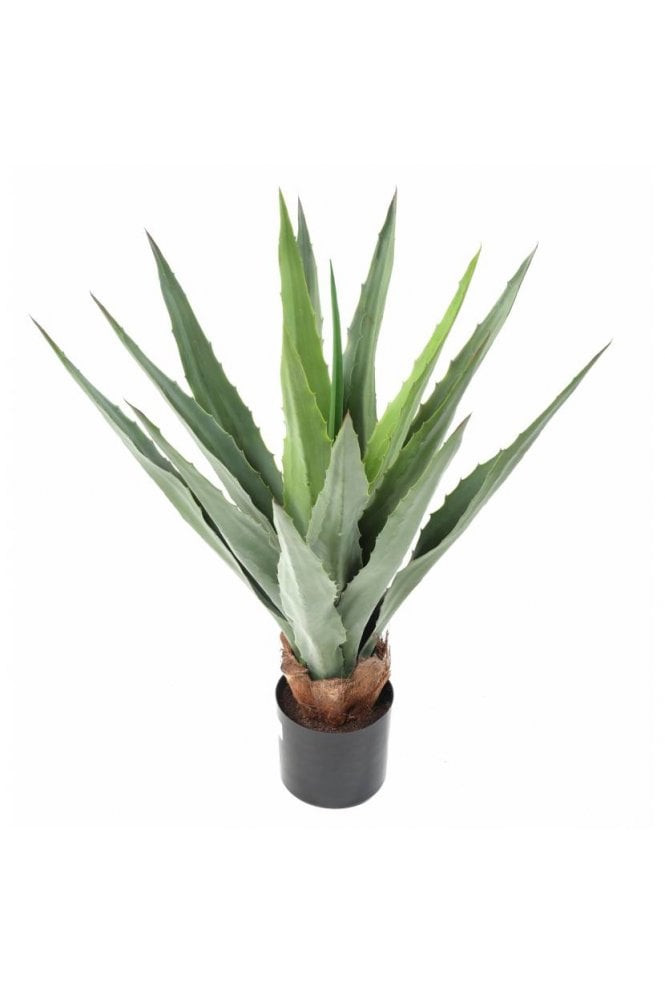 Artificial Furcraea Succulent Green 80cm