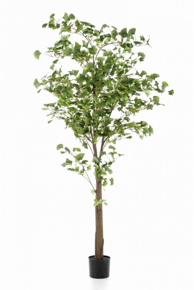 Artificial Gingko Tree 210cm