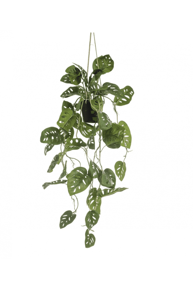 Artificial 80cm Hanging Monstera Monkey Plant