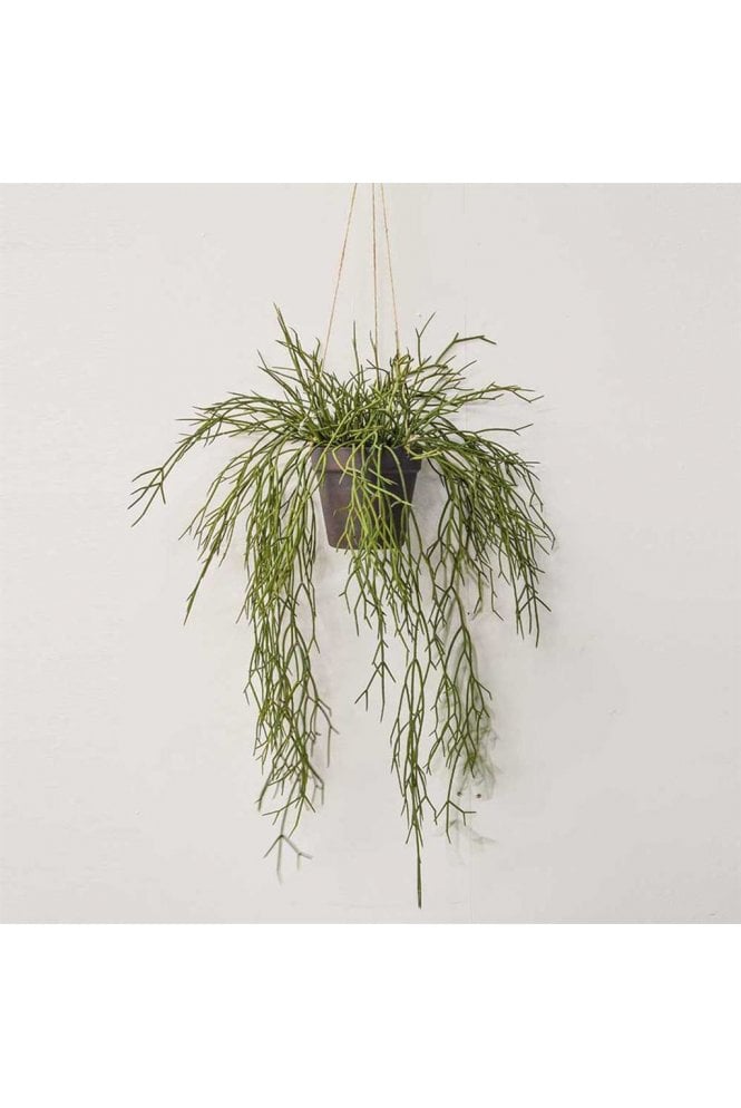 Artificial Hanging Succulent Plant in Rusted Pot