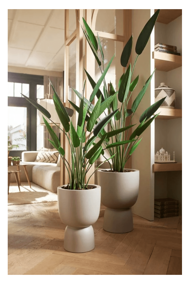 Artificial Heliconia Tree 175cm