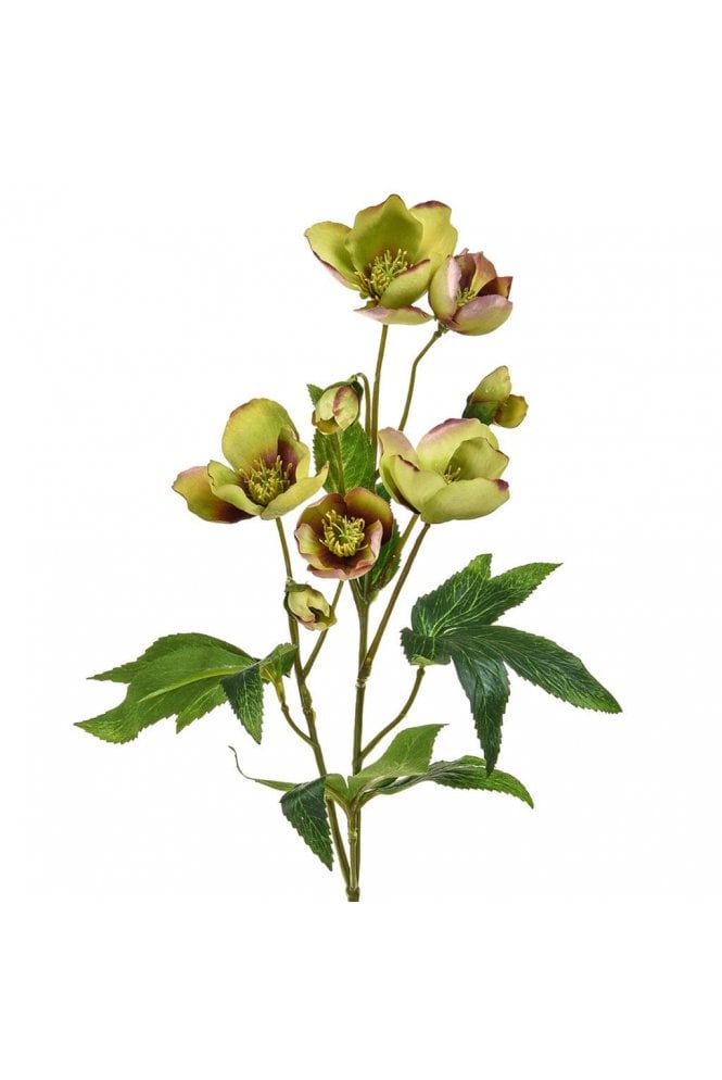 Artificial Helleborus Stem Green/Burg (Pack of 6)