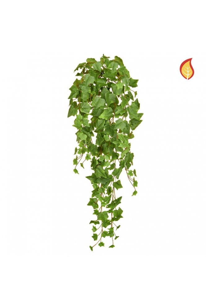  Flame Retardant Ivy Plant 55cmcm - Trade Pack of 6
