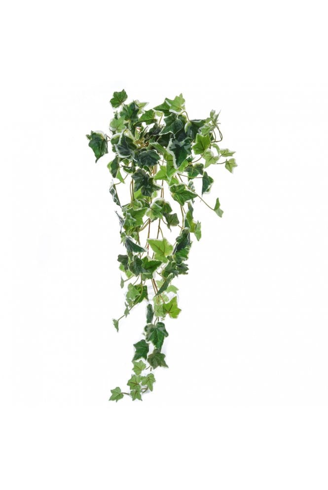 Artificial Ivy Bush Variegated 70cm - Pack of 6