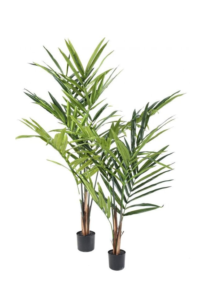 Artificial Kentia Palm Type A