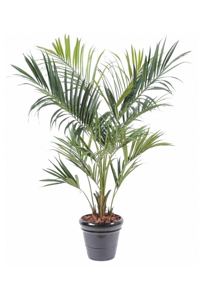 Artificial Kentia Palm Type C (Royal)