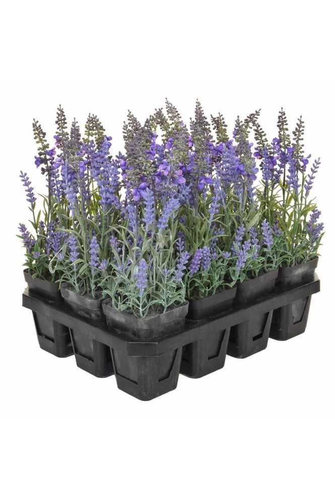 Artificial Lavender Plants - Tray of 12