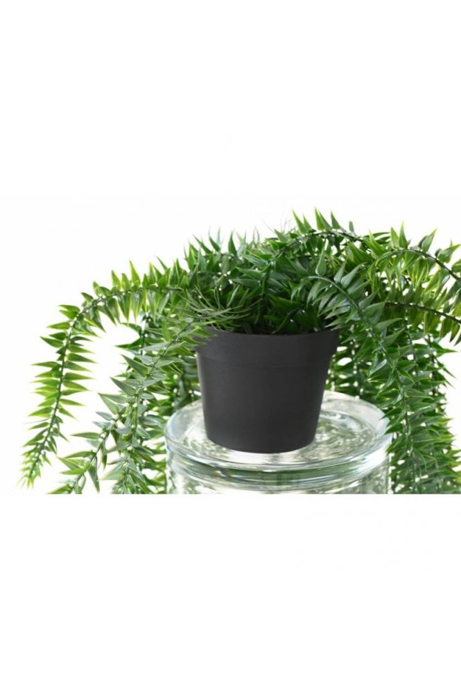 Artificial Lycopodium 70cm