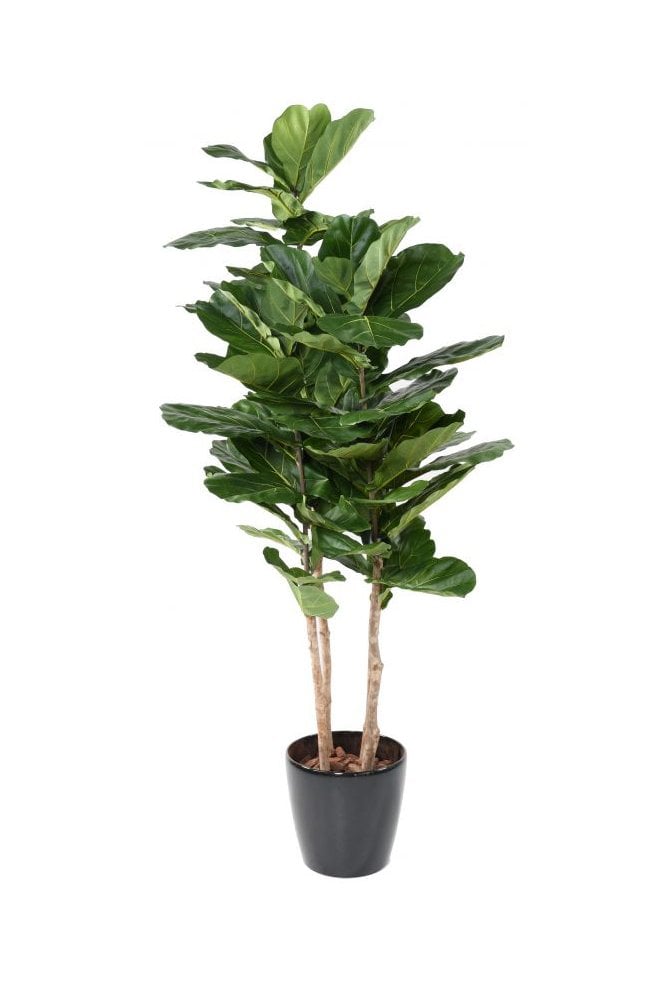 Artificial Lyrata 210cm 