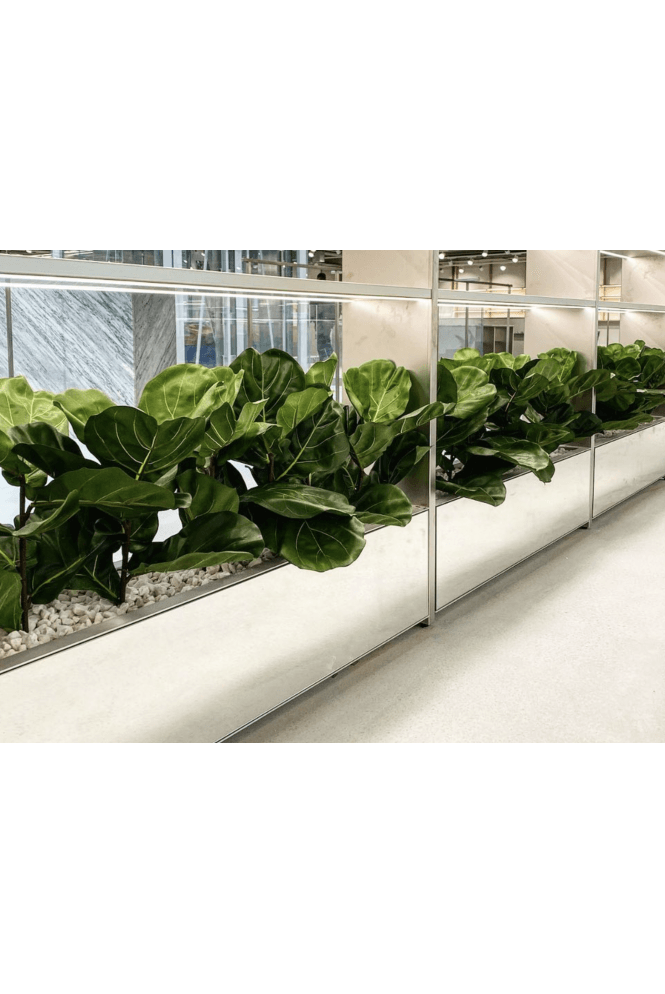 Artificial Lyratta Plant Trough Fillers