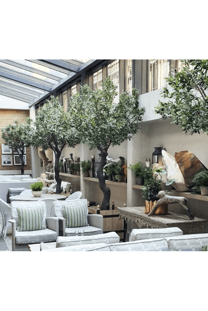 Artificial Indoor Olive Tree 2.7m Tall