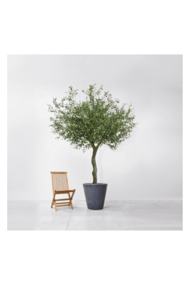 Artificial Olive Tree IFR 2.3m tall x 2m wide