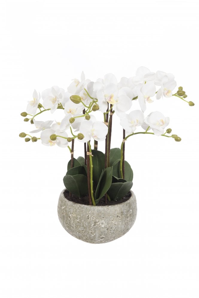 Artificial Phalaenopsis Arrangement in Stone Effect Bowl