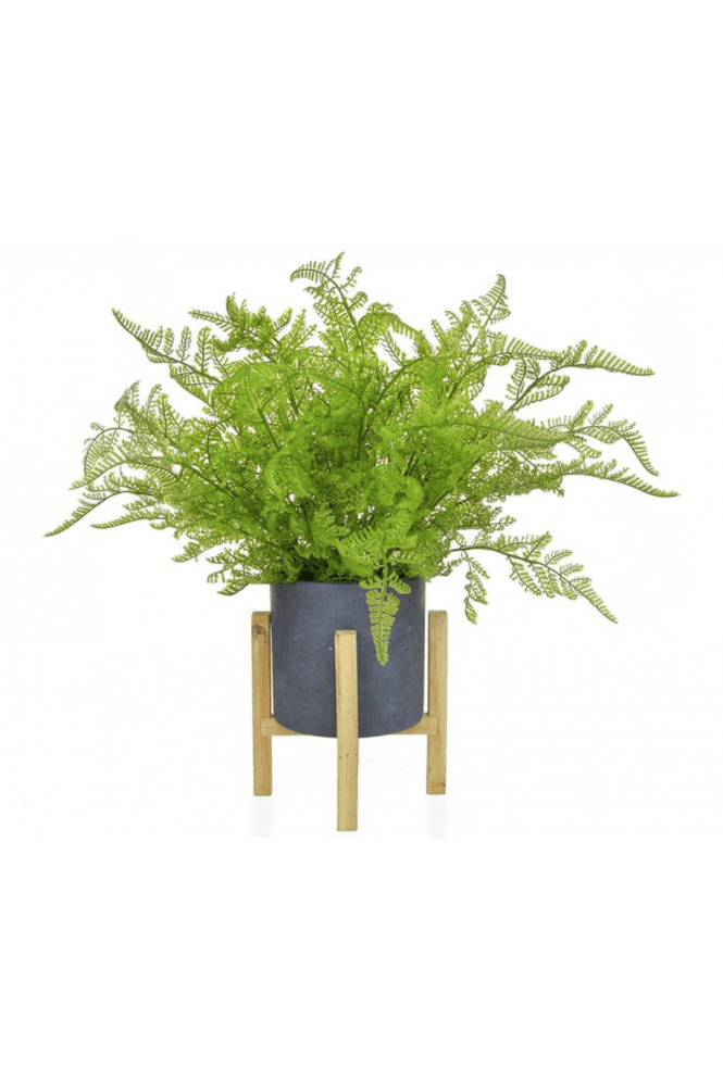 Artificial Feather Fern in Footed Planter