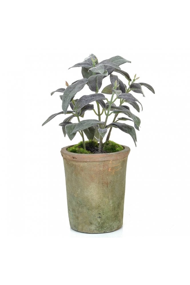 Artificial Herb Arrangment - Sage