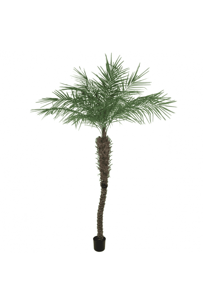 Artificial Potted Phoenix Palm Tree 210cm