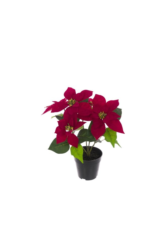 Artificial Poinsettia Red 43cm Potted
