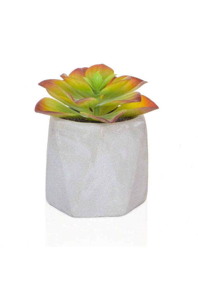 Artificial Potted Succulent Plant 11cm Red/Green