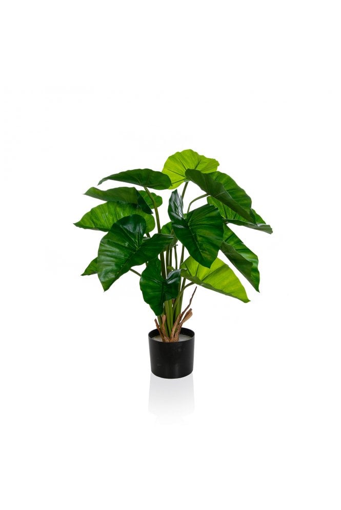 Artificial Potted Taro BA 75cm