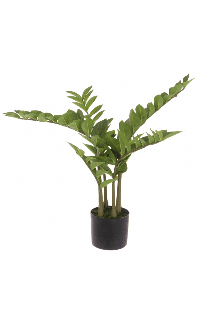 Artificial Potted Zamiifolia 