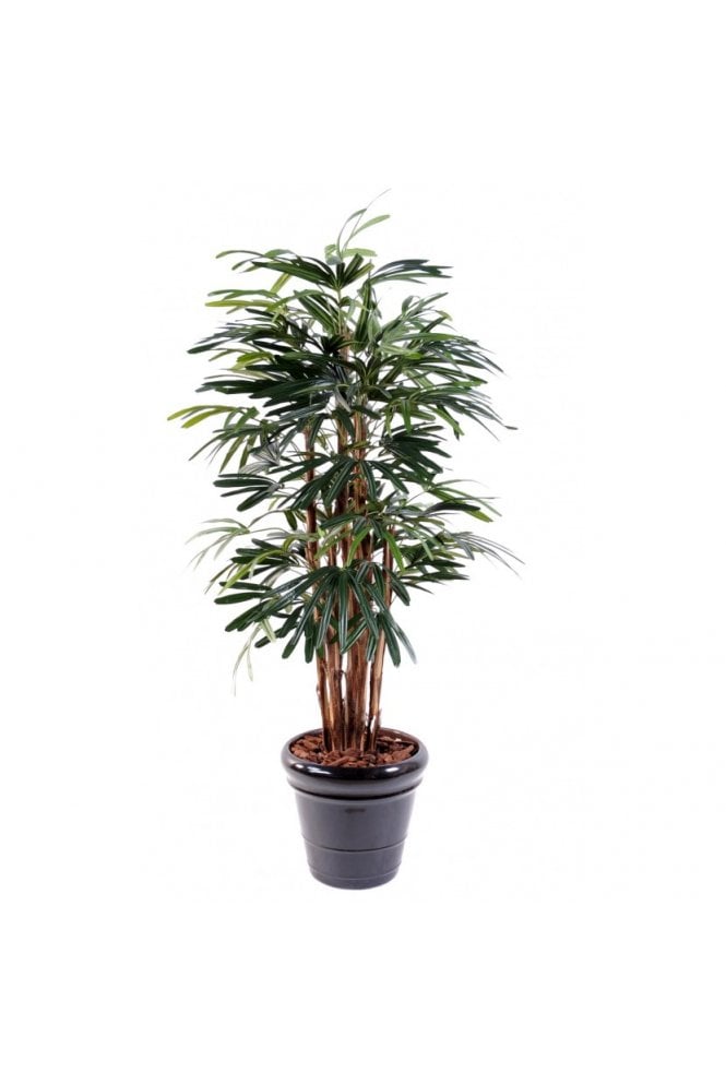 Artificial Raphis Palm Tree