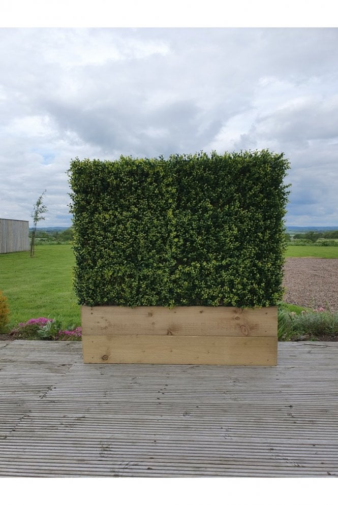 Artificial Ready Made Boxwood Hedge in Timber Trough