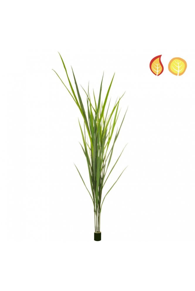 Artificial Reed Grass 180cm FR & UV