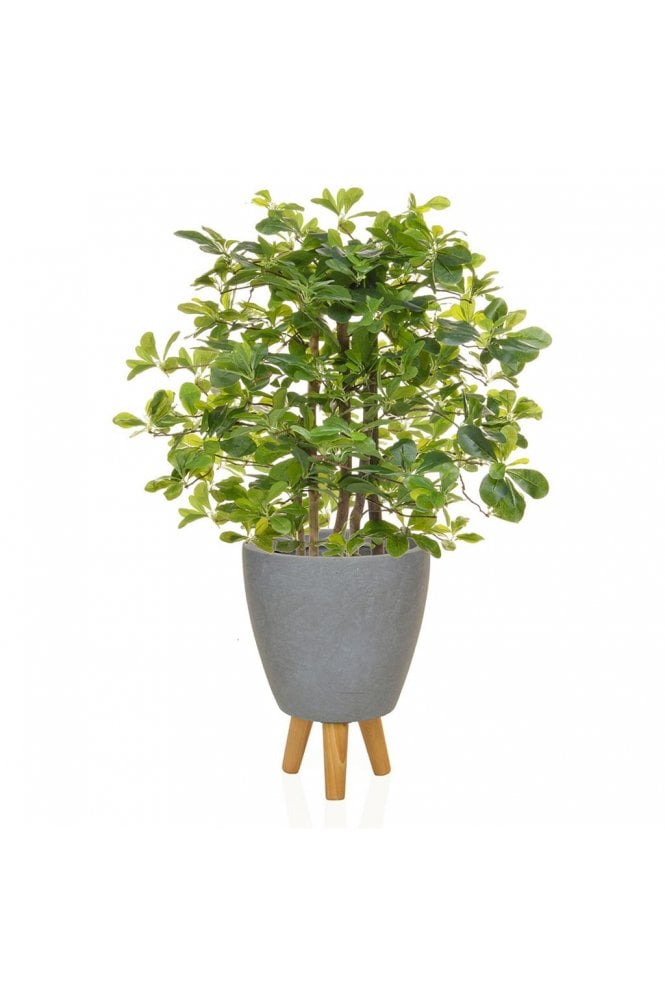 Artificial Schefflera Potted in Footed Planter