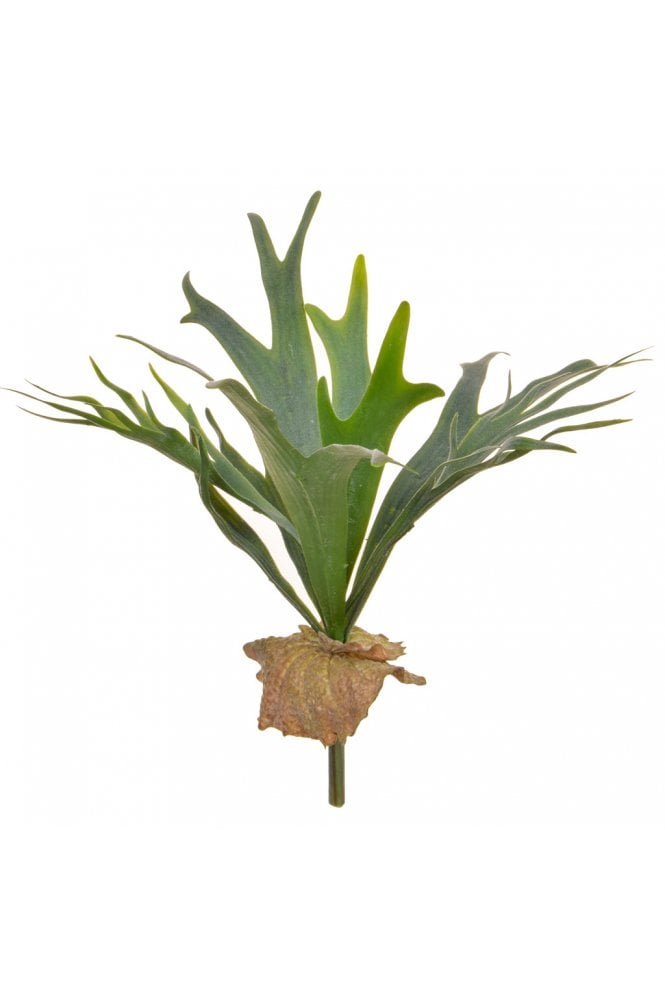 Artificial Staghorn Fern 41cm with Foliage
