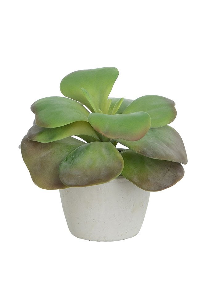 Artificial Succulent Arrangement E Pack of 6