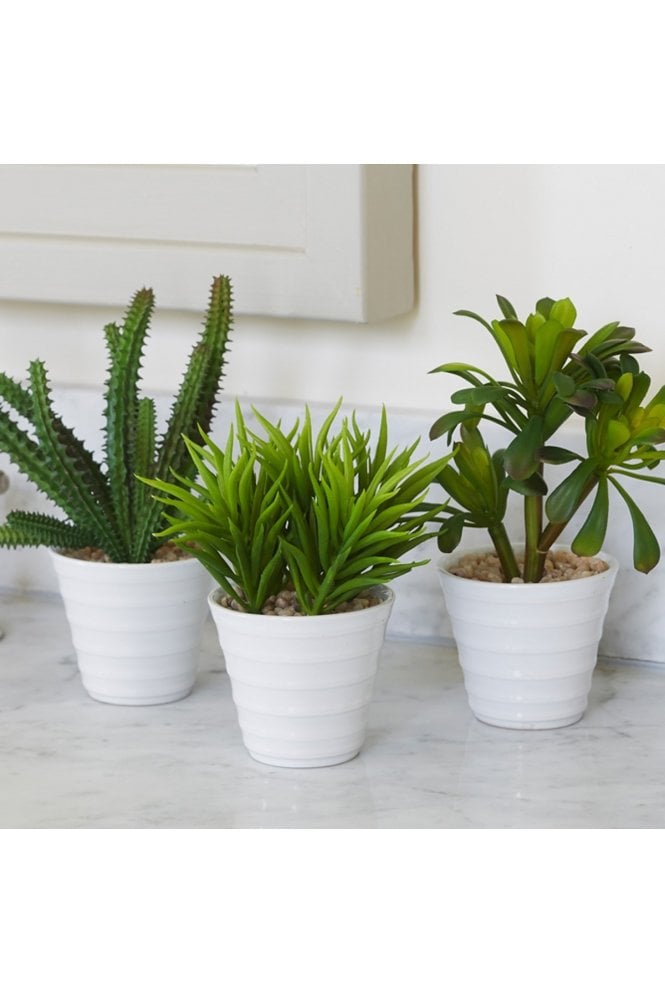 Potted Artificial Succulents Set of 3