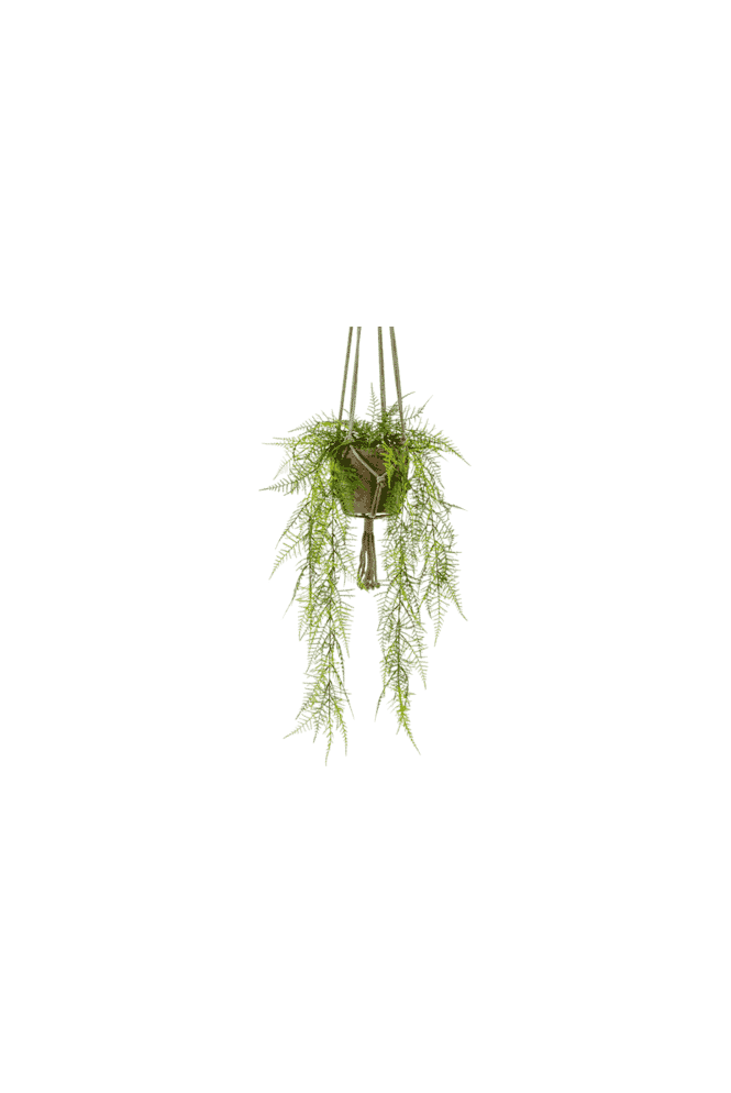 Artificial Hanging Asparagus Plant in Basket