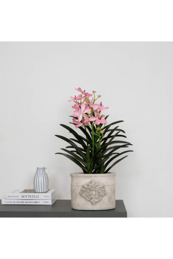 Artificial Vanda Orchid Display