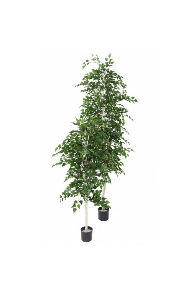 Artificial White Birch Tree (180cm/260cm)