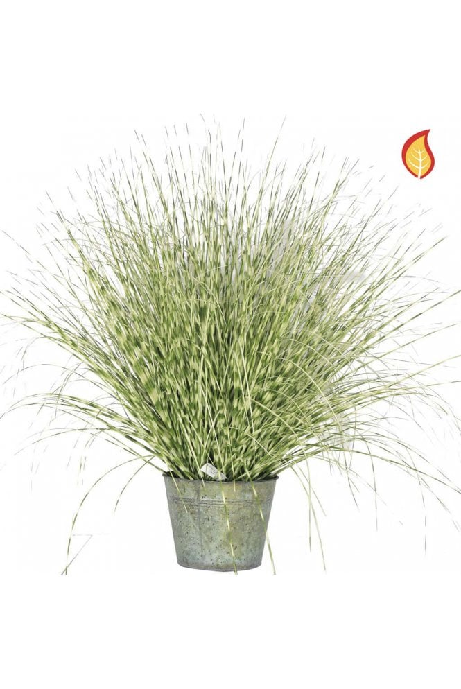 Artificial Zebra Grass 114cm in Metal Base (IFR)