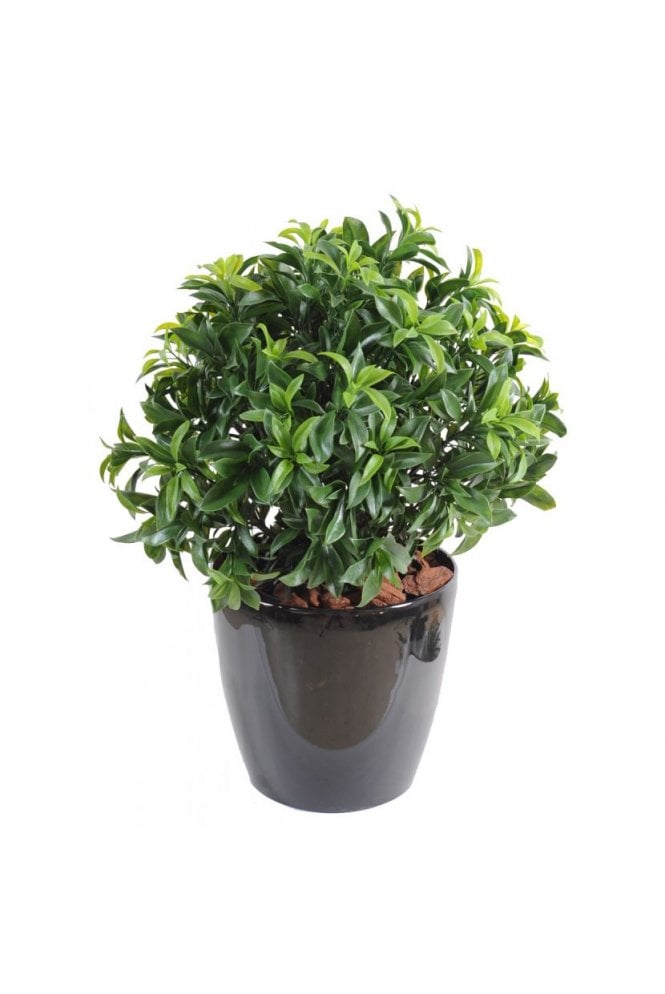 Exterior Grade Bay Laurel Ball