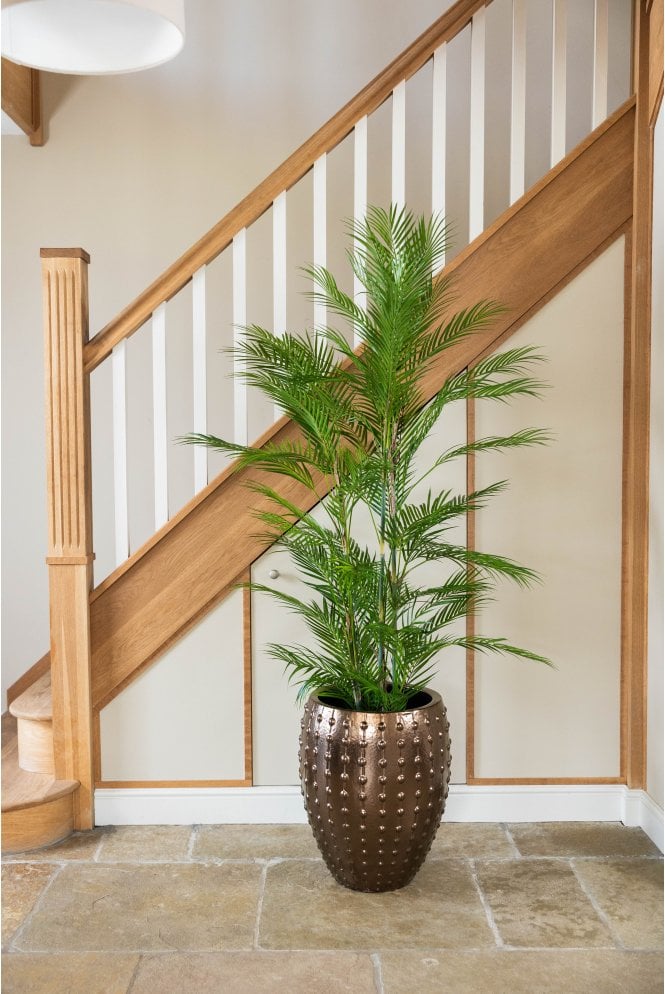  Gold Emperor Planter