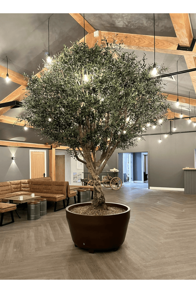 Artificial Bespoke Olive tree with Real Timber Trunk.