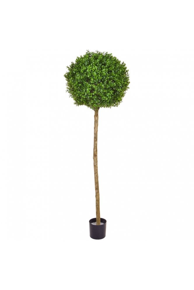UV Protected Buxus Ball