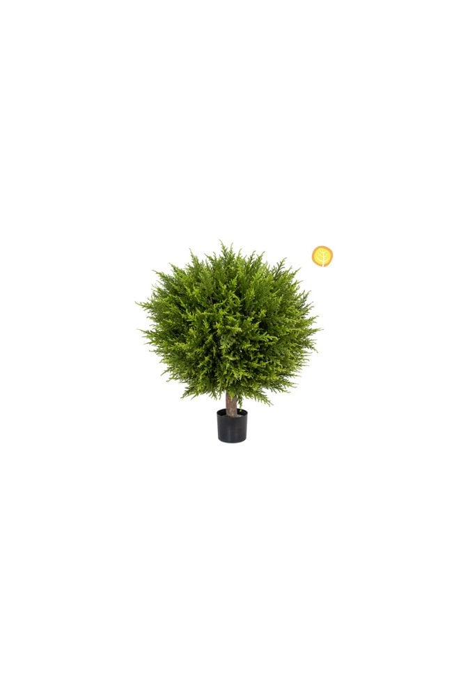 Topiary Cypress Ball with Pot BA 60x45cm
