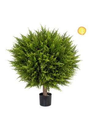 Topiary Cypress Ball with Pot BA 60x45cm